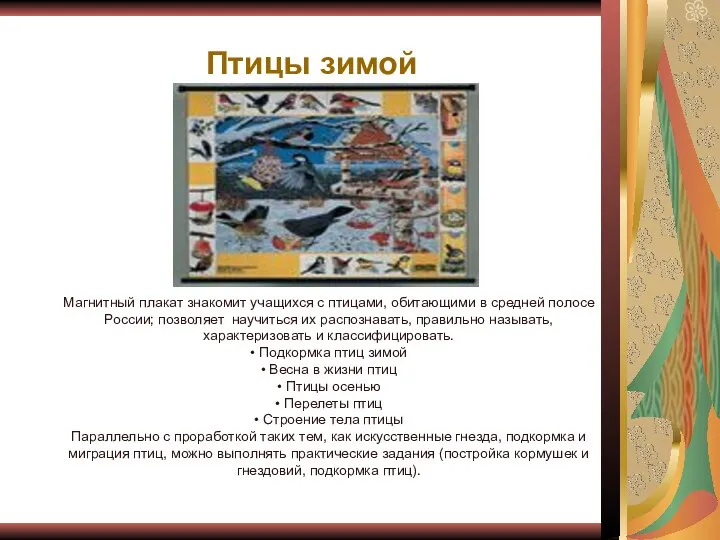 Птицы зимой Магнитный плакат знакомит учащихся с птицами, обитающими в средней полосе России;