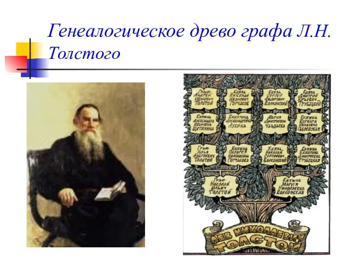 Генеалогическое древо графа Л.Н.Толстого