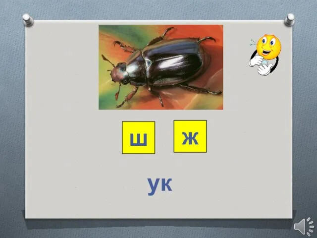 ш ж ук