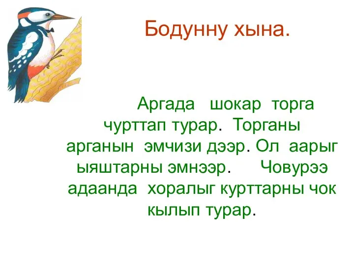 Бодунну хына. Аргада шокар торга чурттап турар. Торганы арганын эмчизи