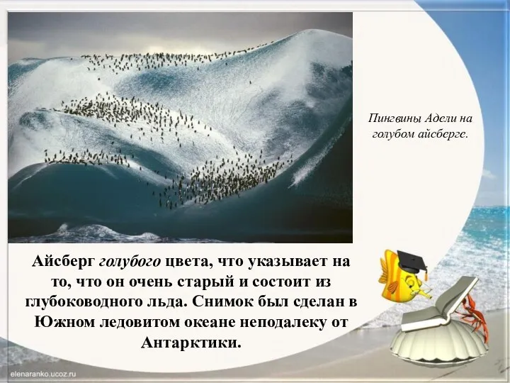 Айсберг голубого цвета, что указывает на то, что он очень старый и состоит