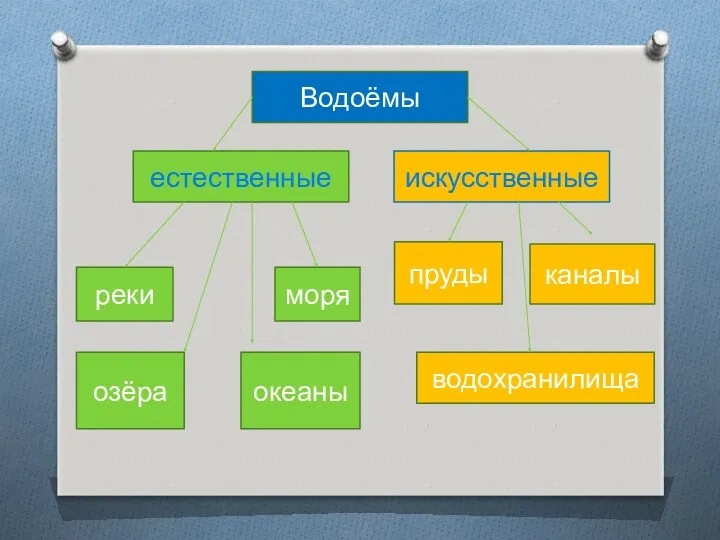 Водоёмы естественные искусственные реки моря озёра океаны каналы пруды водохранилища