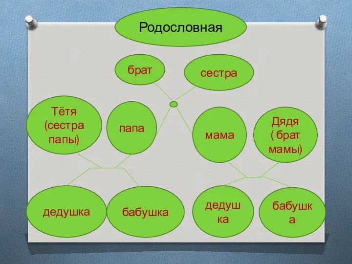 брат Тётя (сестра папы) папа мама Дядя ( брат мамы) дедушка бабушка дедушка бабушка сестра Родословная