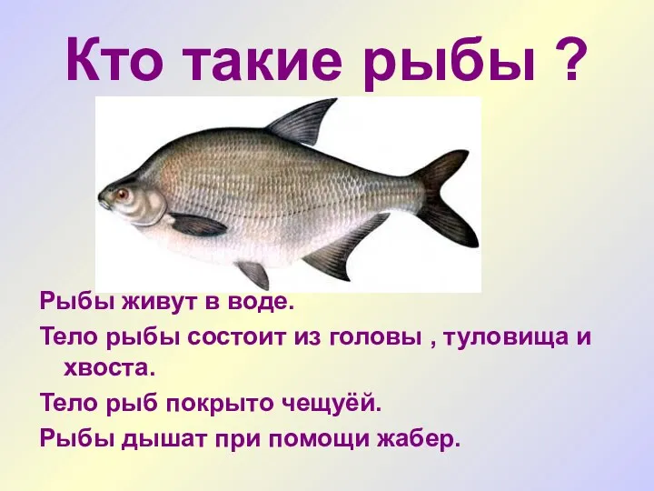 Кто такие рыбы ? Рыбы живут в воде. Тело рыбы