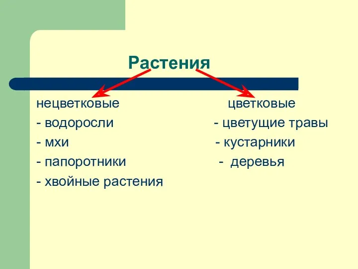 Растения нецветковые цветковые - водоросли - цветущие травы - мхи