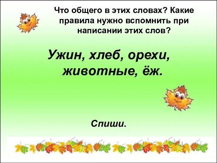 Что общего в этих словах? Какие правила нужно вспомнить при