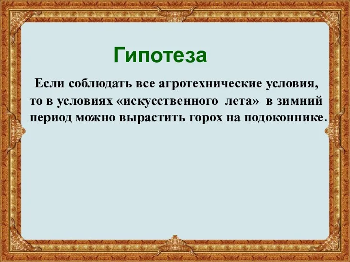 Гипотеза Если соблюдать все агротехнические условия, то в условиях «искусственного