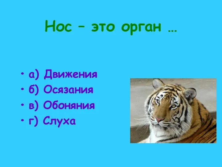 Нос – это орган … а) Движения б) Осязания в) Обоняния г) Слуха