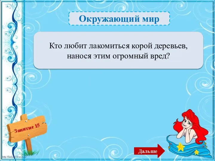 Окружающий мир Заяц – 2б. Кто любит лакомиться корой деревьев, нанося этим огромный вред? Дальше