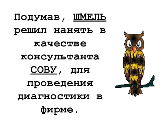 Подумав, ШМЕЛЬ решил нанять в качестве консультанта СОВУ, для проведения диагностики в фирме.