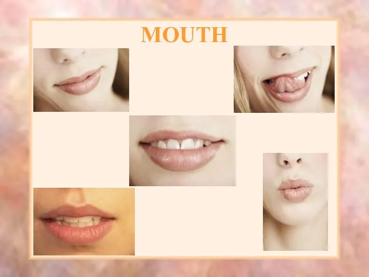 MOUTH