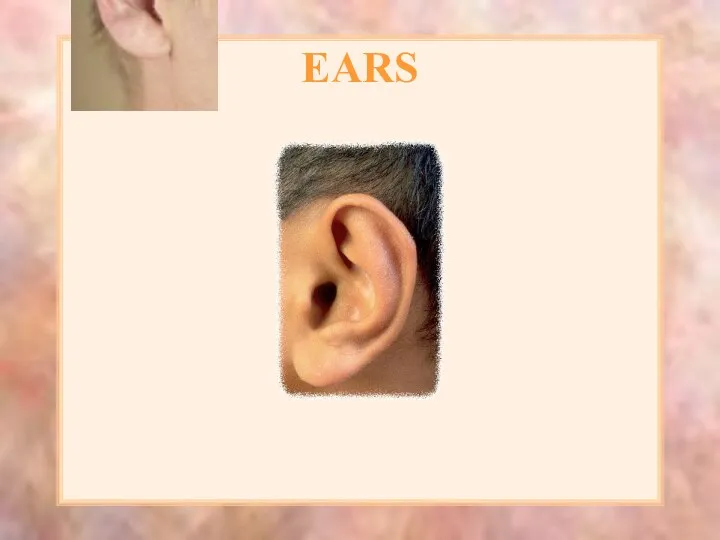 EARS