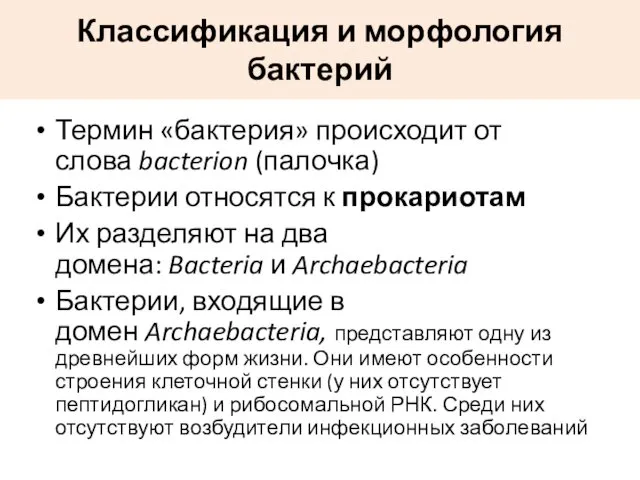 Классификация и морфология бактерий Термин «бактерия» происходит от слова bacterion (палочка) Бактерии относятся