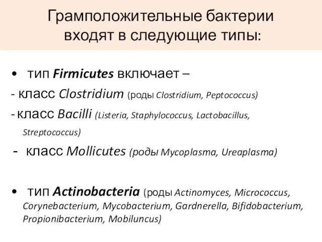 Грамположительные бактерии входят в следующие типы: • тип Firmicutes включает