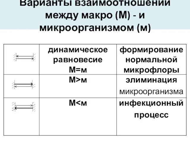 Варианты взаимоотношений между макро (М) - и микроорганизмом (м)