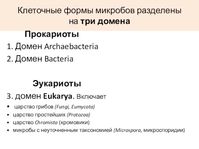 Клеточные формы микробов разделены на три домена Прокариоты 1. Домен Archaebacteria 2. Домен