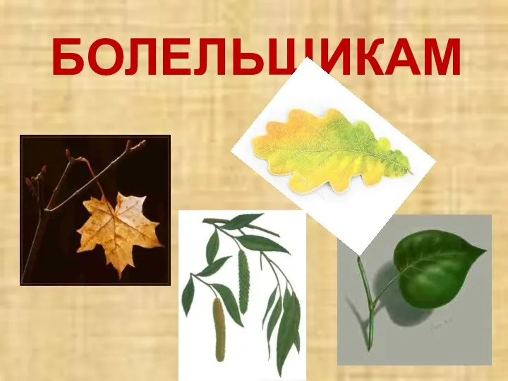 БОЛЕЛЬЩИКАМ