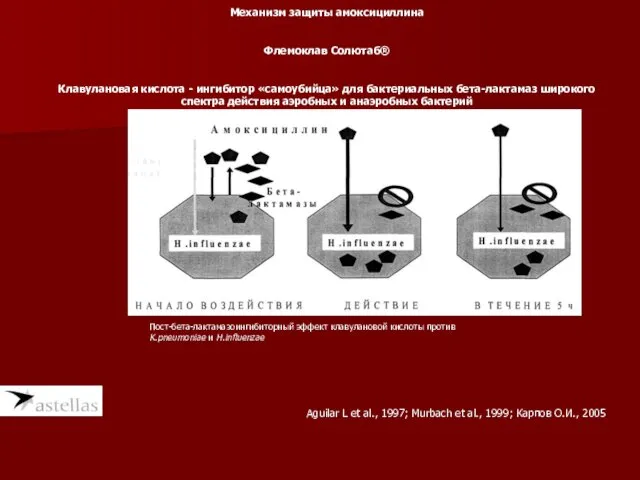 Механизм защиты амоксициллина Флемоклав Солютаб® Клавулановая кислота - ингибитор «самоубийца»