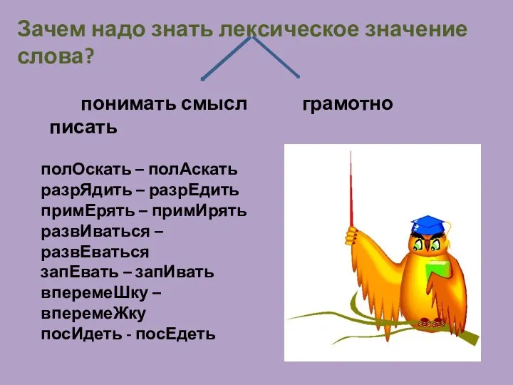 Зачем надо знать лексическое значение слова? понимать смысл грамотно писать