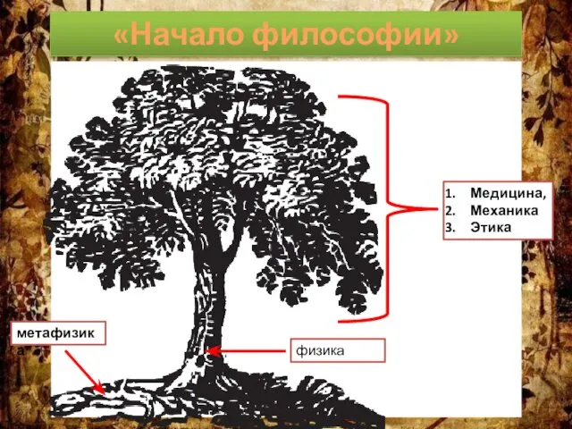 «Начало философии» метафизика физика Медицина, Механика Этика