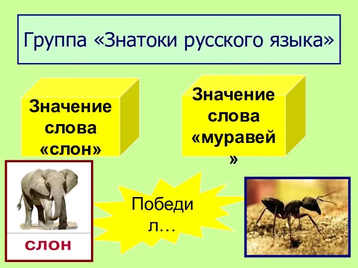 Группа «Знатоки русского языка» Значение слова «слон» Значение слова «муравей » Победил…