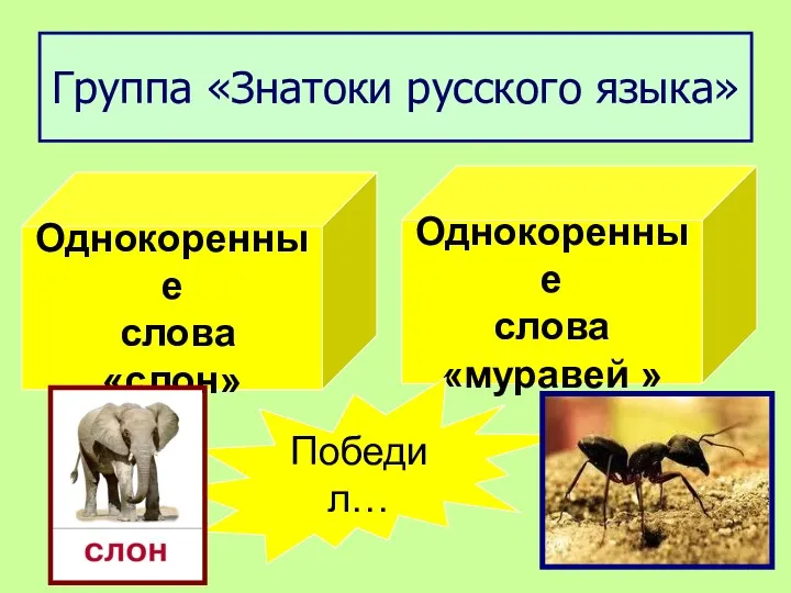 Группа «Знатоки русского языка» Однокоренные слова «слон» Однокоренные слова «муравей » Победил…