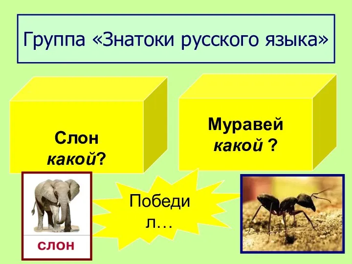 Группа «Знатоки русского языка» Слон какой? Муравей какой ? Победил…