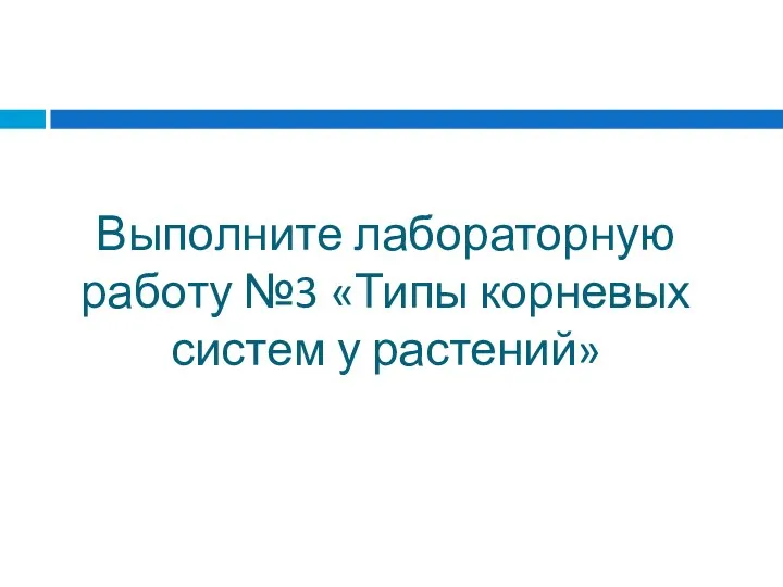 Выполните лабораторную работу №3 «Типы корневых систем у растений»