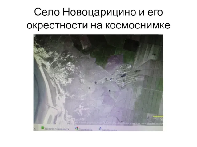 Село Новоцарицино и его окрестности на космоснимке