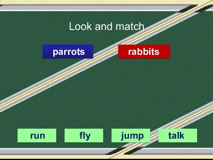 Look and match parrots rabbits run fly jump talk