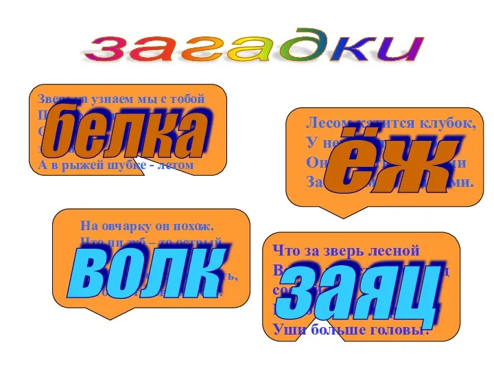 загадки Зверька узнаем мы с тобой По двум причинам: Он в шубке серенькой