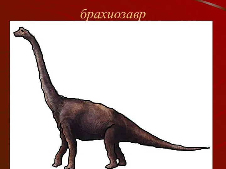 брахиозавр