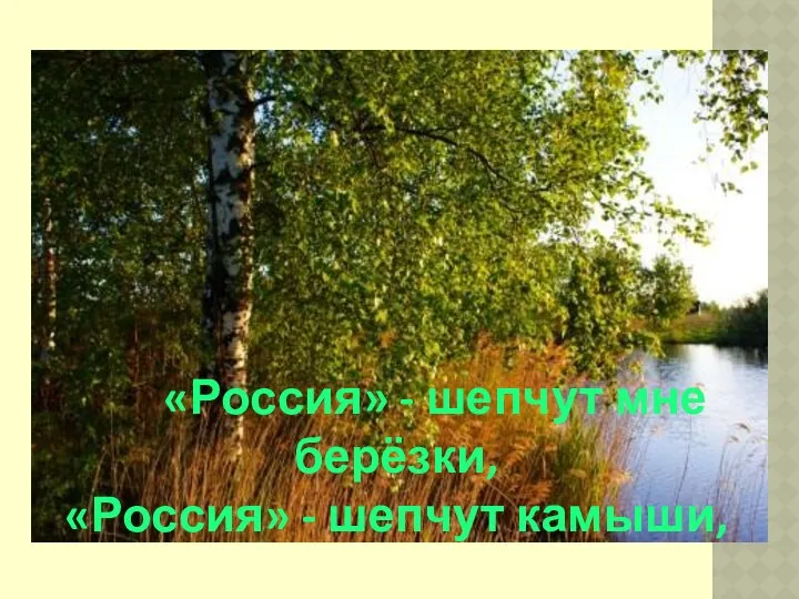 «Россия» - шепчут мне берёзки, «Россия» - шепчут камыши,