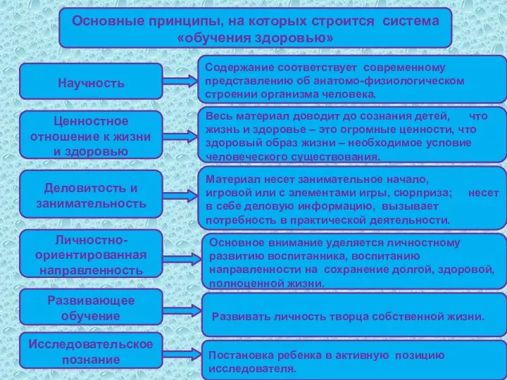 Основные принципы, на которых строится система «обучения здоровью» Содержание соответствует