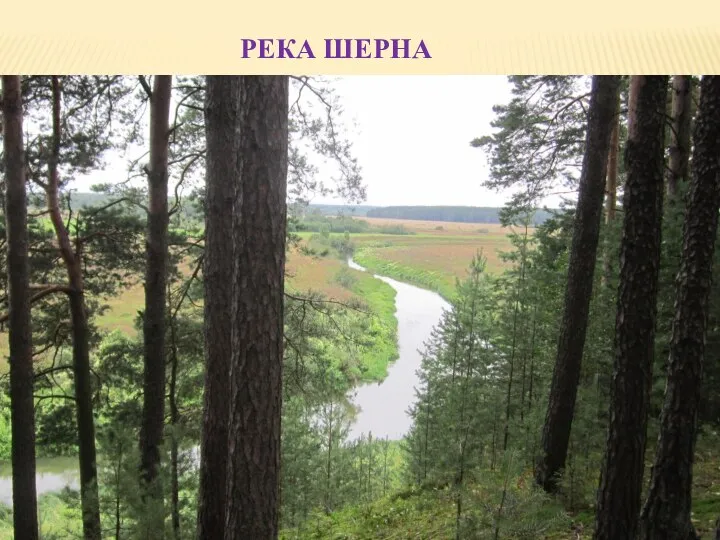 Река Шерна