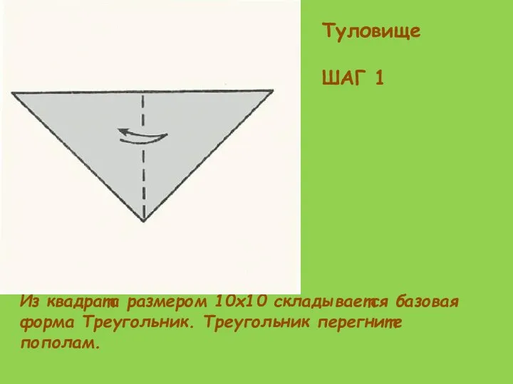 Туловище ШАГ 1 Из квадрата размером 10х10 складывается базовая форма Треугольник. Треугольник перегните пополам.