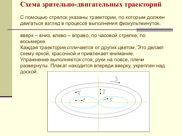 Схема зрительно-двигательных траекторий С помощью стрелок указаны траектории, по которым