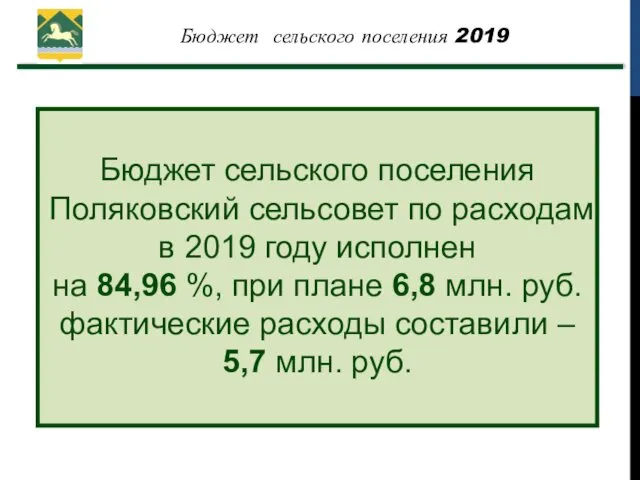 Бюджет сельского поселения Поляковский сельсовет по расходам в 2019 году