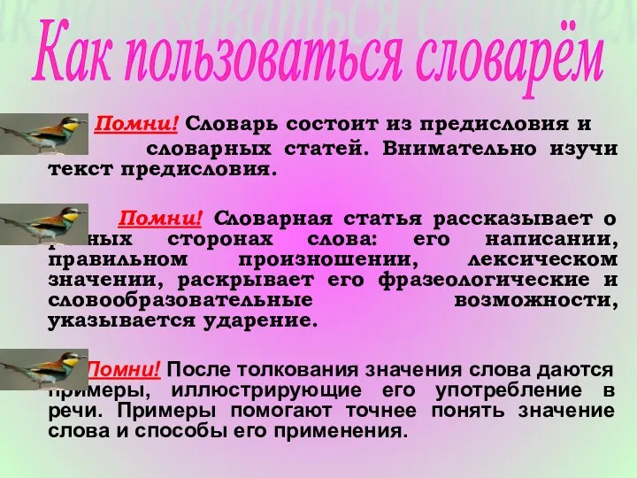 Помни! Словарь состоит из предисловия и словарных статей. Внимательно изучи текст предисловия. Помни!