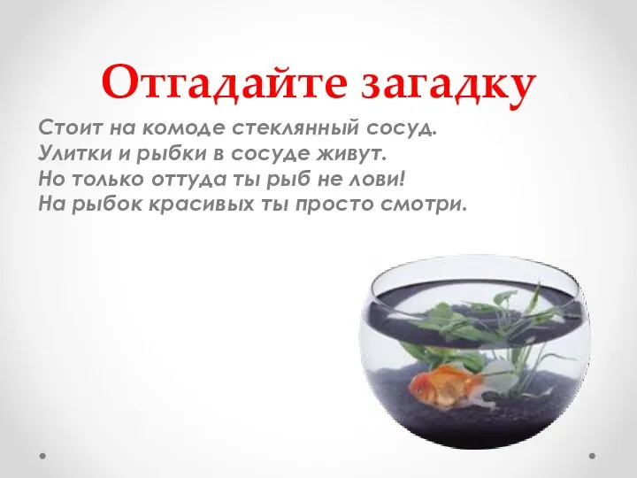 Отгадайте загадку Стоит на комоде стеклянный сосуд. Улитки и рыбки