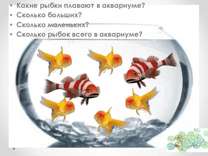 Какие рыбки плавают в аквариуме? Сколько больших? Сколько маленьких? Сколько рыбок всего в аквариуме?