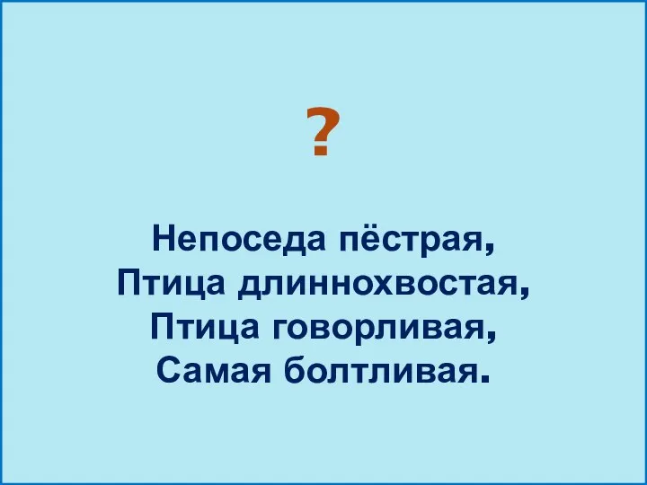 ? Непоседа пёстрая, Птица длиннохвостая, Птица говорливая, Самая болтливая.