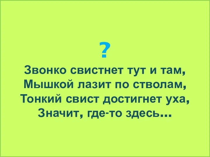 ? Звонко свистнет тут и там, Мышкой лазит по стволам,