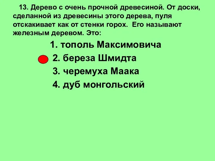 13. Дерево с очень прочной древесиной. От доски, сделанной из