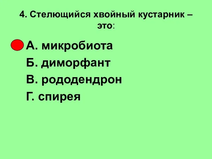 4. Стелющийся хвойный кустарник – это: А. микробиота Б. диморфант В. рододендрон Г. спирея