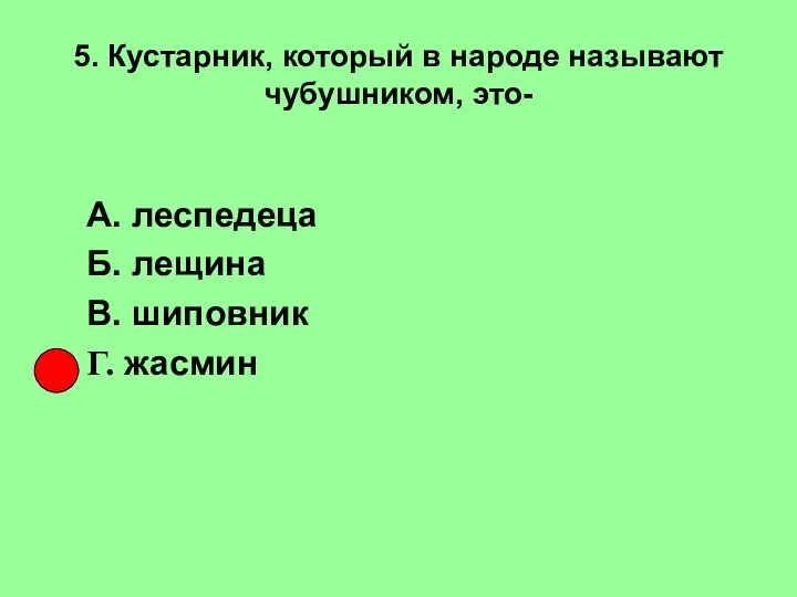 5. Кустарник, который в народе называют чубушником, это- А. леспедеца Б. лещина В. шиповник Г. жасмин