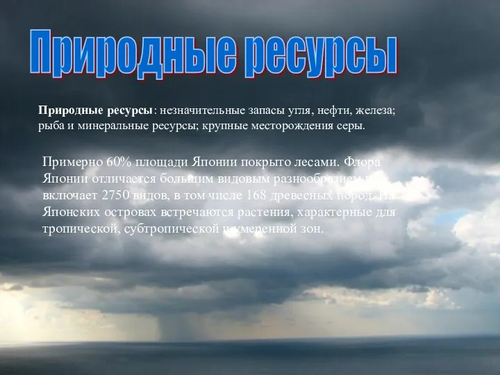 Примерно 60% площади Японии покрыто лесами. Флора Японии отличается большим видовым разнообразием и