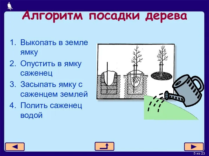 Алгоритм посадки дерева Выкопать в земле ямку Опустить в ямку