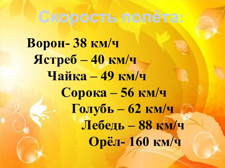 Скорость полёта: Ворон- 38 км/ч Ястреб – 40 км/ч Чайка