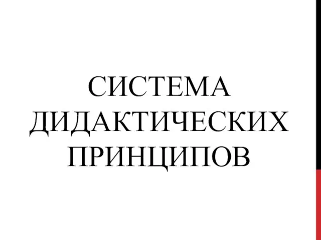 Система дидактических принципов